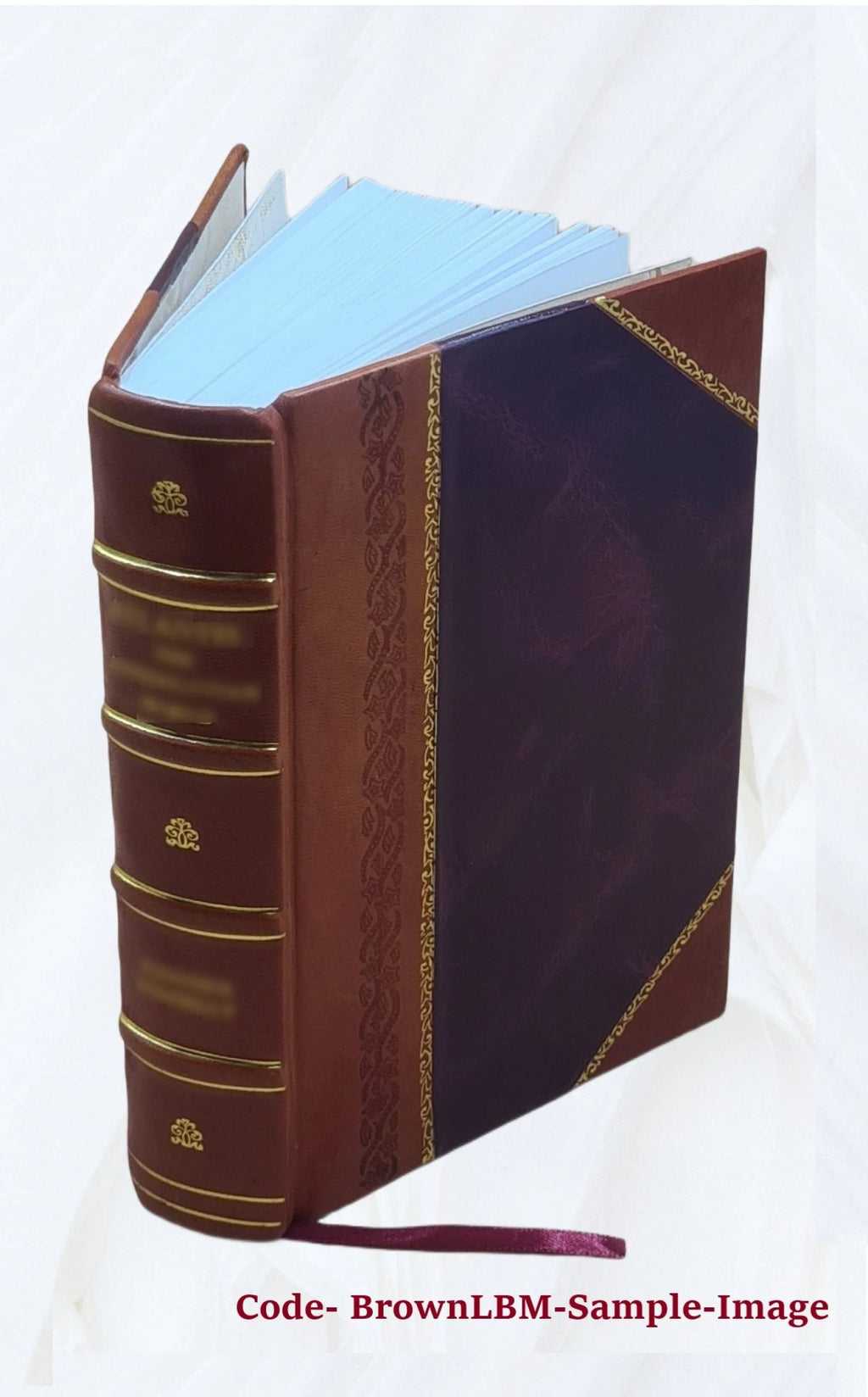 Biographical Dictionary of Contemporary Writers 1879 Leather Bound U672436