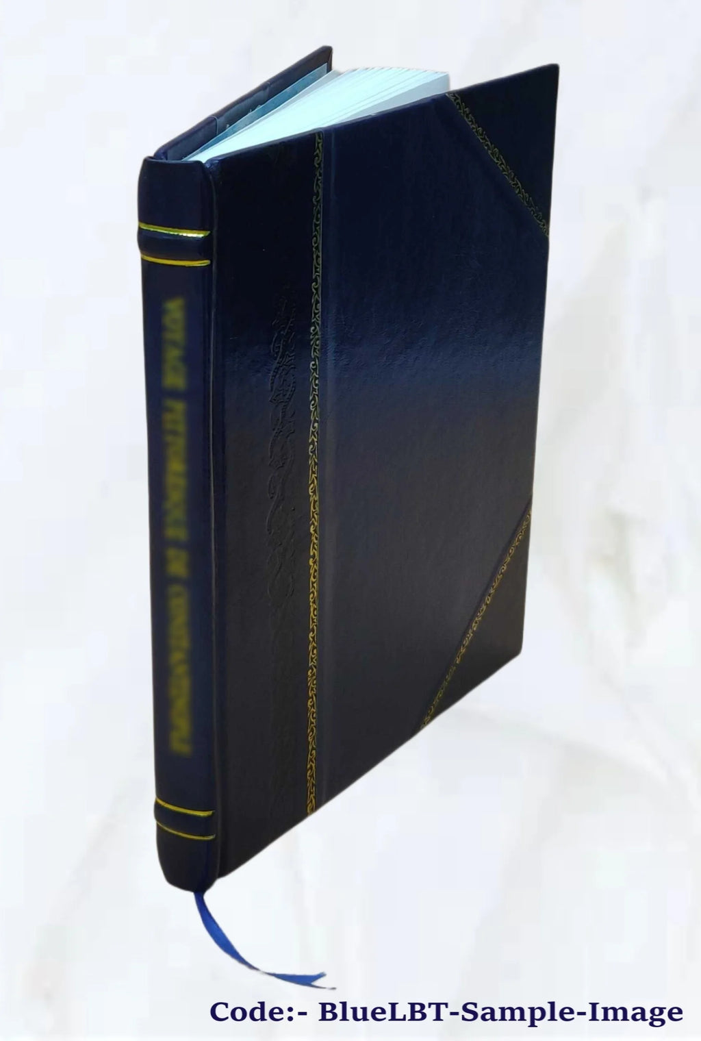 Leather Bound Book I9731