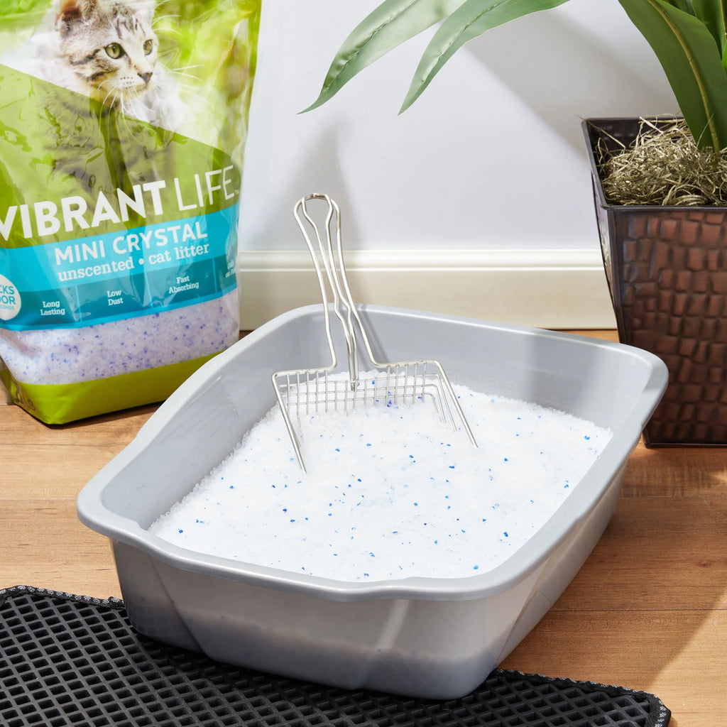Mini Unscented Cat Litter 8 lb F47395