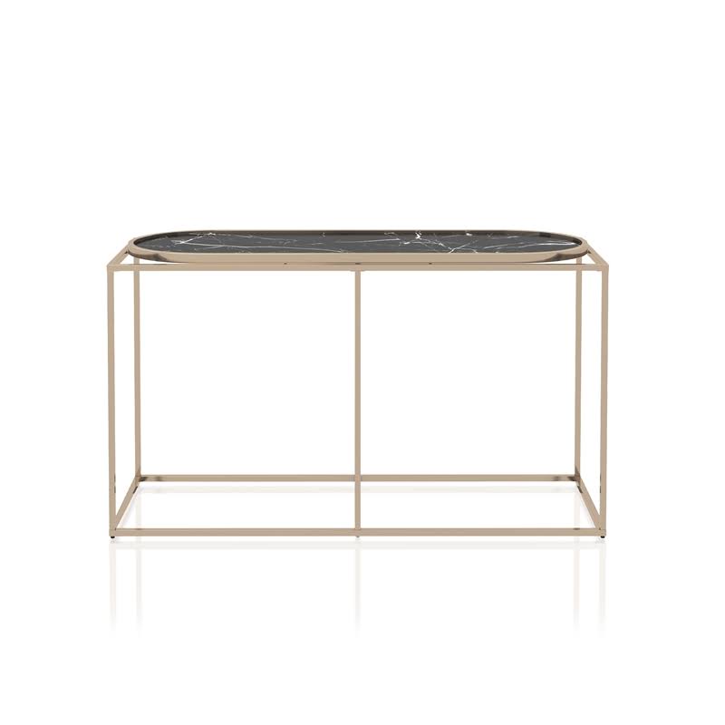 Metal Console Table in Champaign and Black C92398