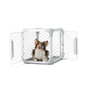 Dog Crate N280422