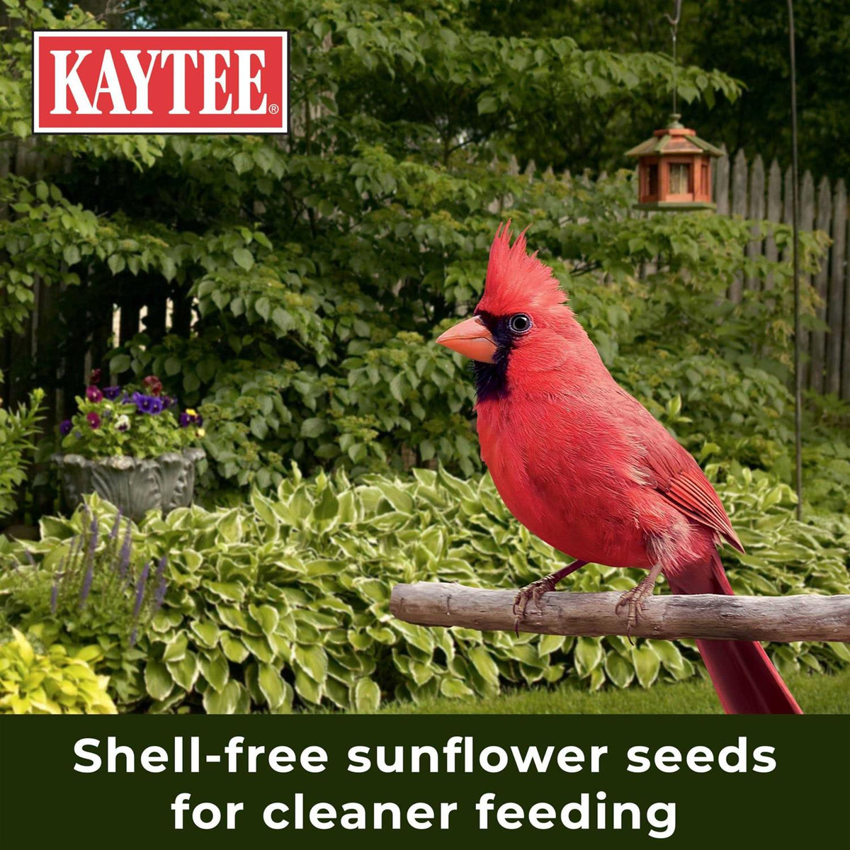 Nut & Fruit Blend Wild Bird Food M842