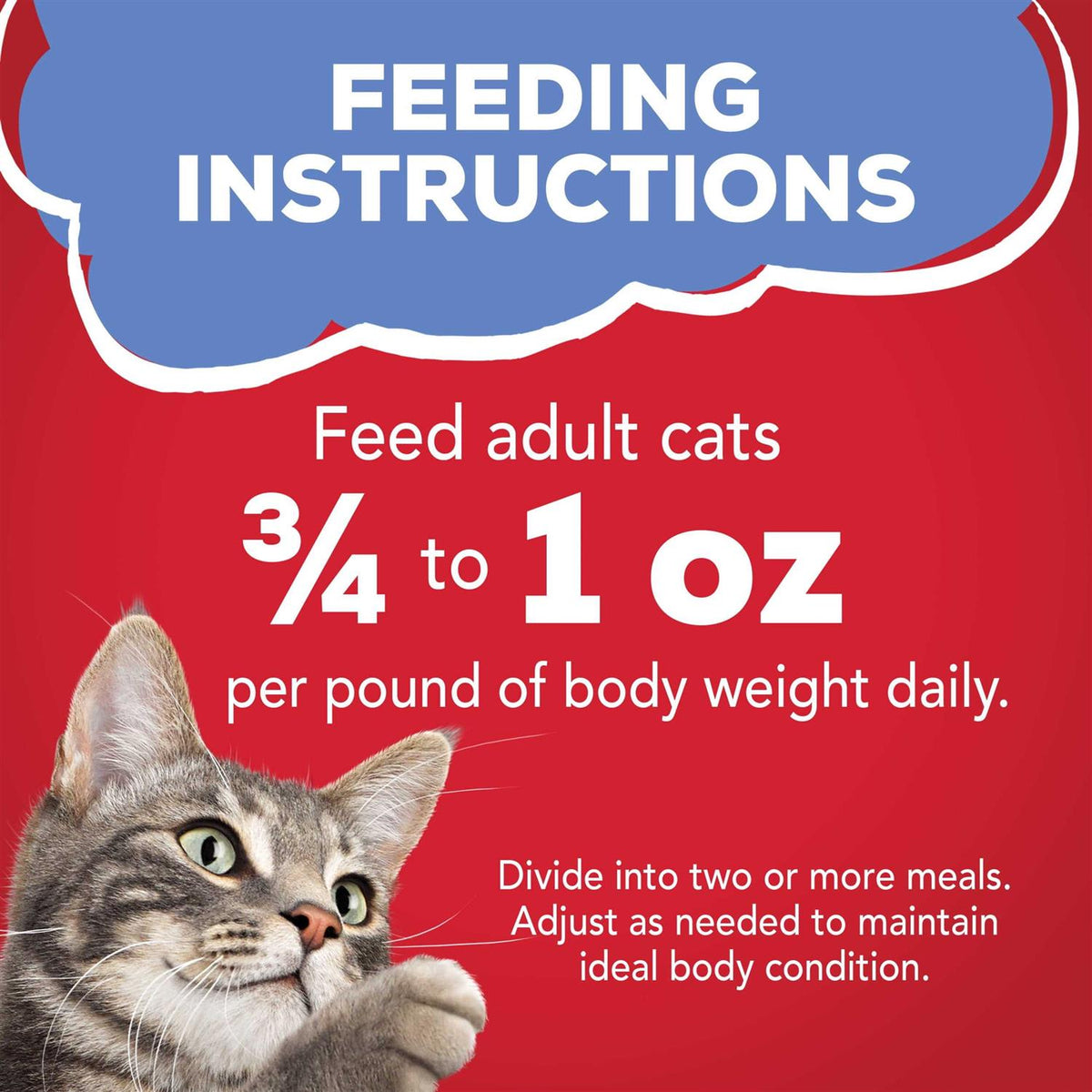 Wet Cat Food with Beef in Gravy Y98786