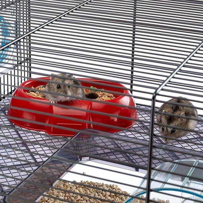 Large Hamster Cage with Water Bottle H565736