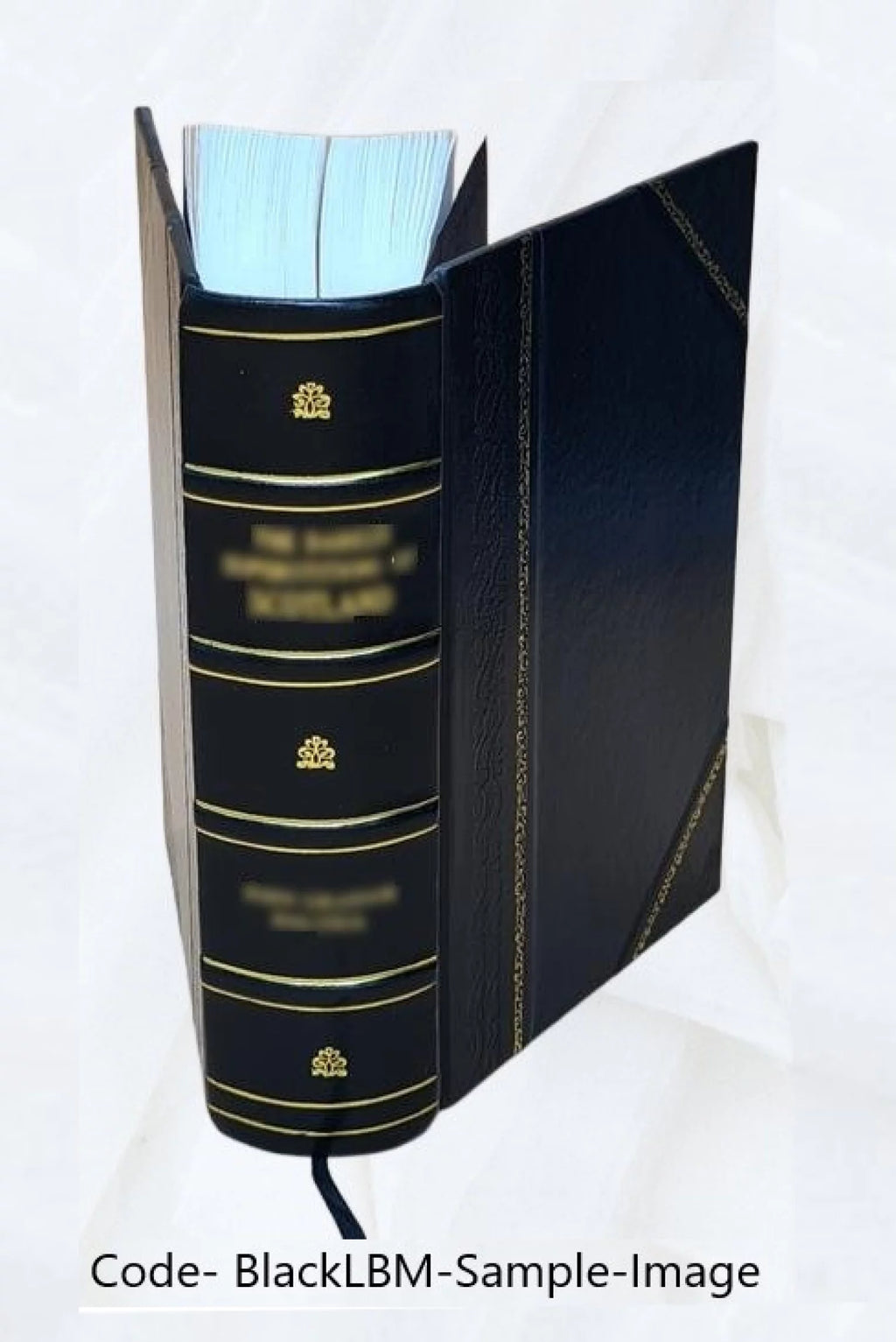 Biographical Dictionary of Contemporary Writers 1879 Leather Bound U672436
