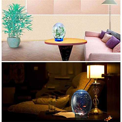 Mini Ecological Fish Tank with Led Base Y844