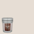 Satin Exterior Paint (5-Gallon) E572243