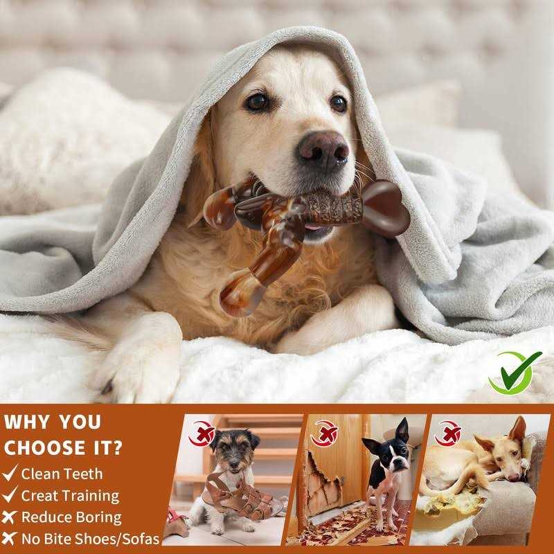 Real Bacon Flavored Tough Dog Bone Chew Toy L768440