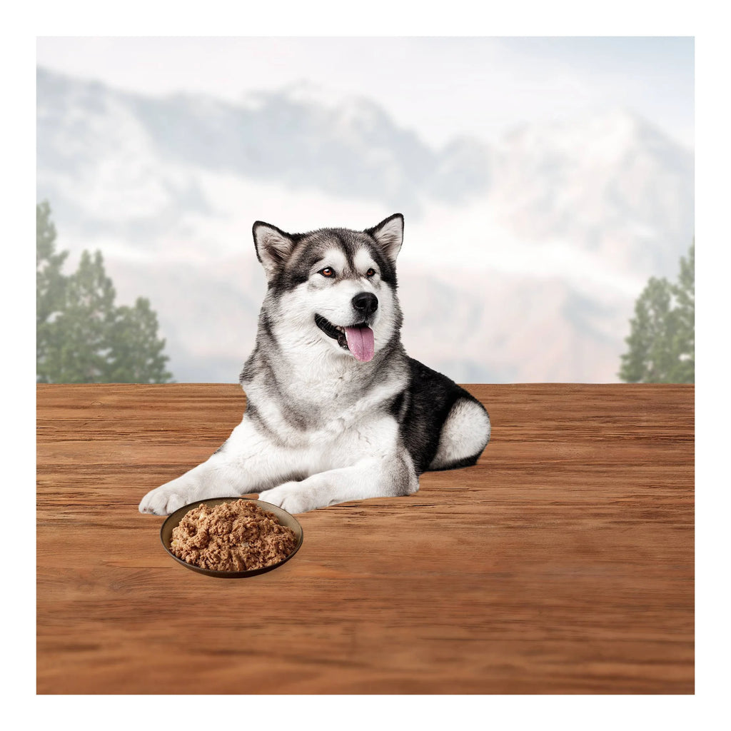 Grain Free Wet Dog Food with Trout Fish, Venison & Rabbit 12.5oz 12ct J381
