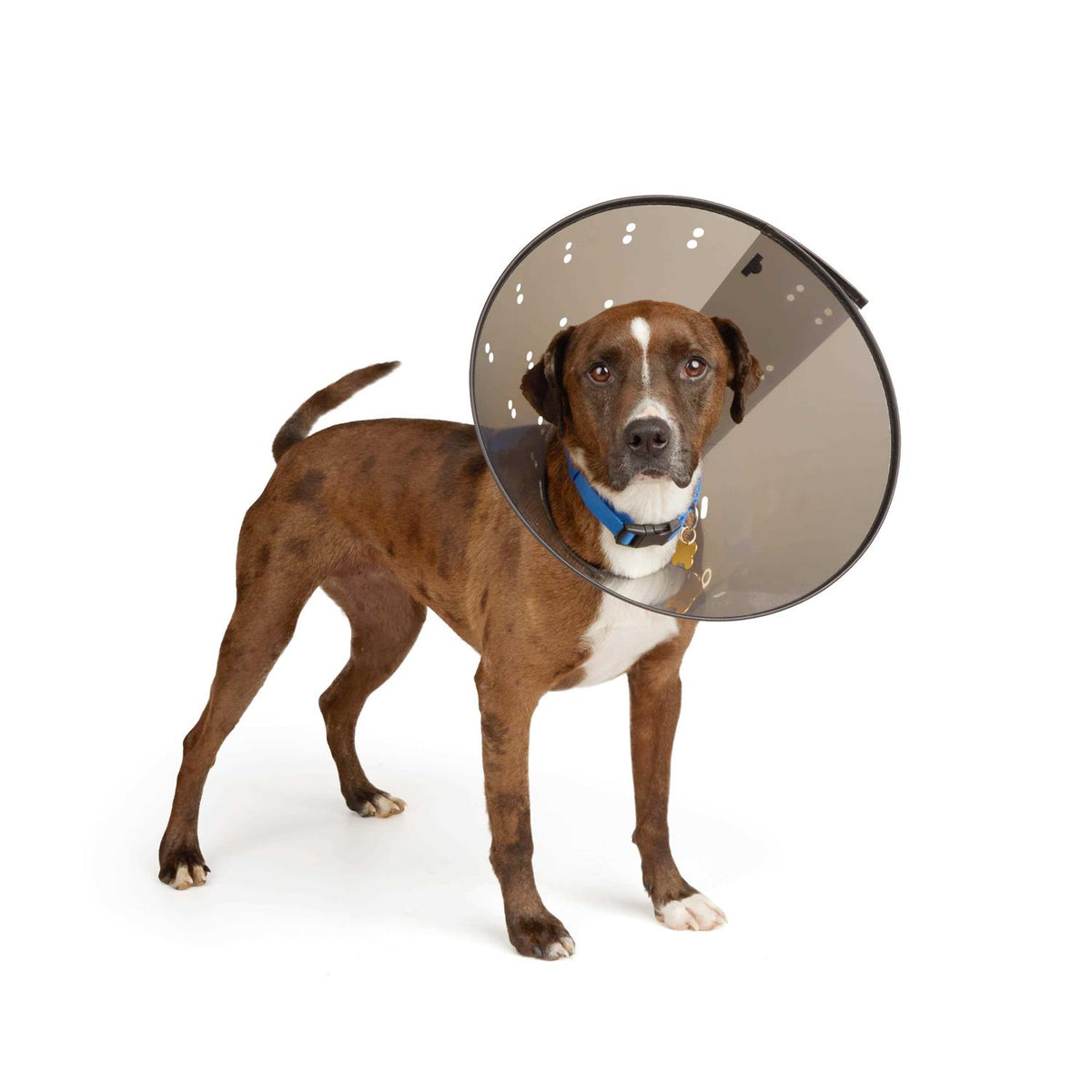 Recovery Cone Collar H78128