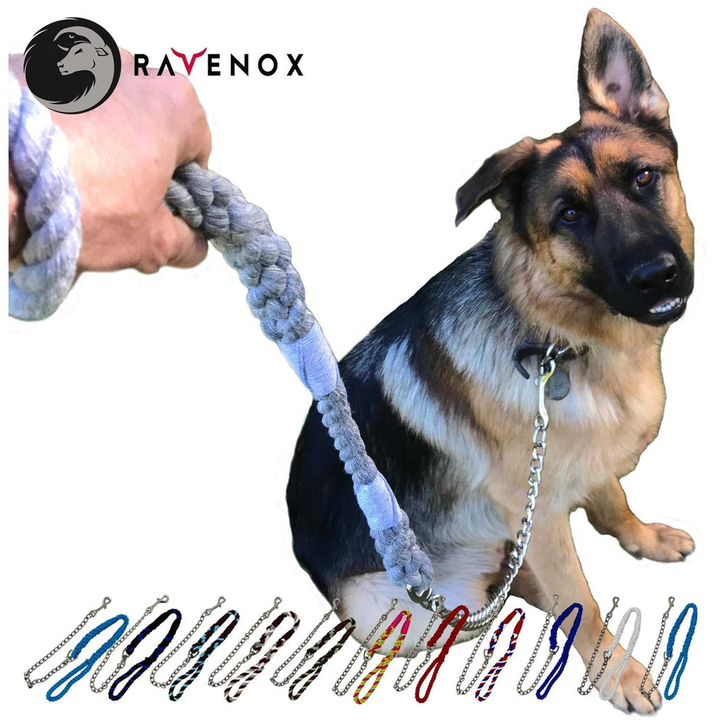 Dog Leash with Chain D74141