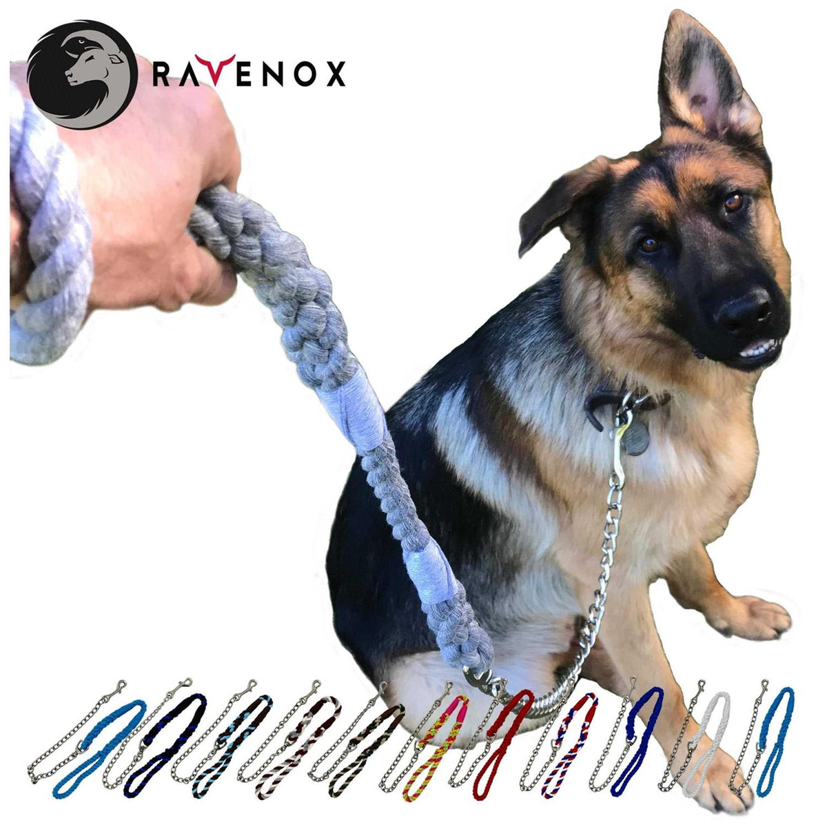 Dog Leash with Chain D74141