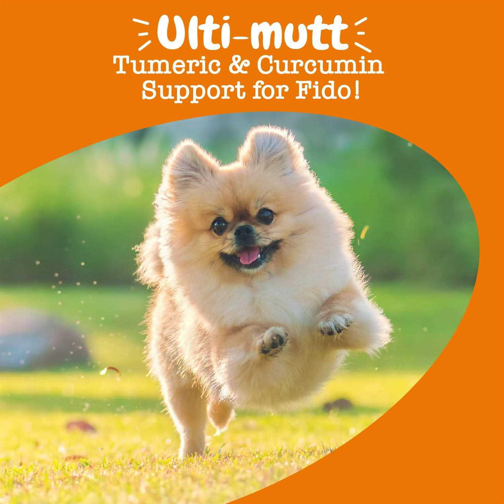 Turmeric Curcumin Bites for Dogs C90827
