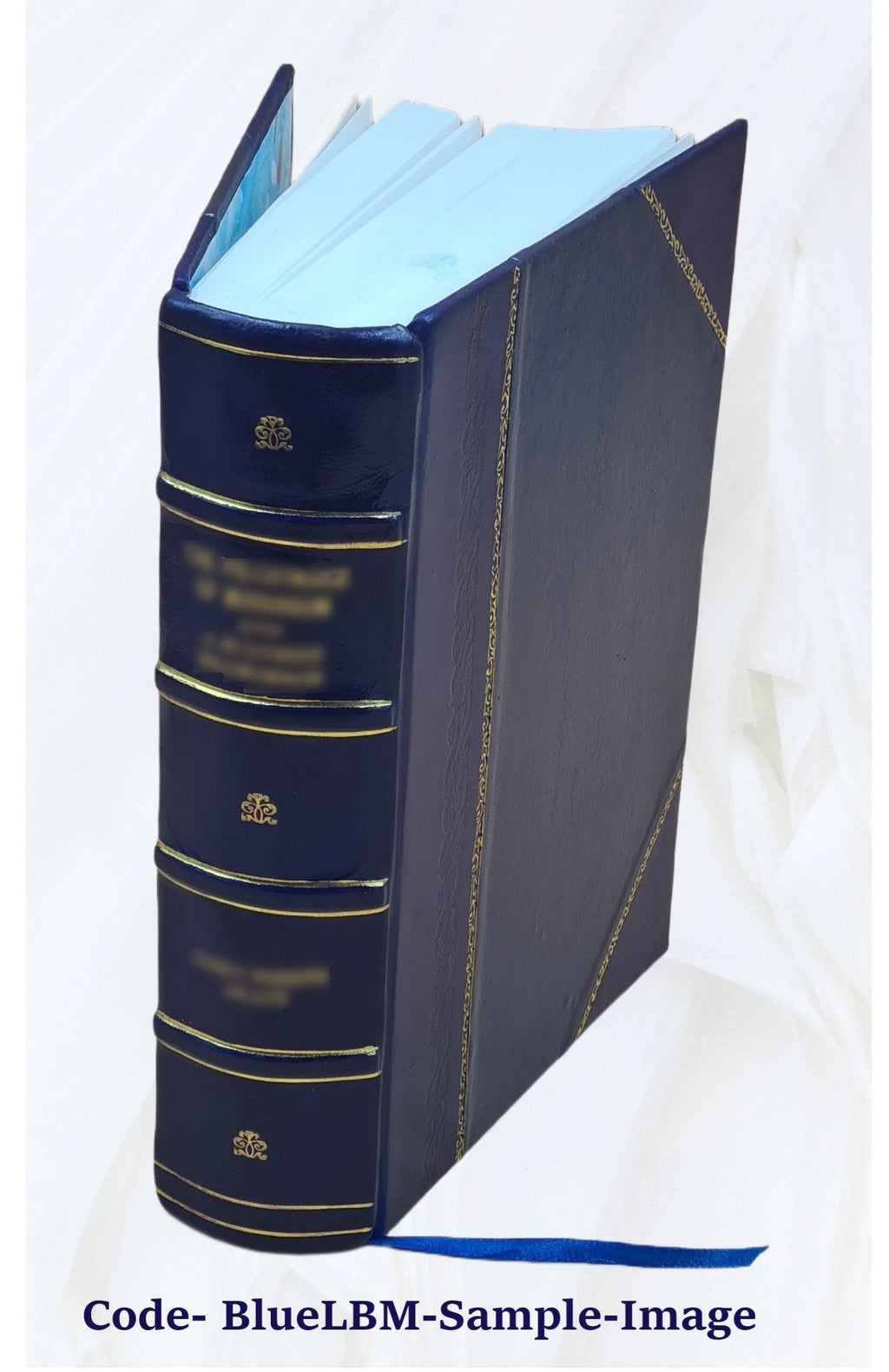 Biographical Dictionary of Contemporary Writers 1879 Leather Bound U672436