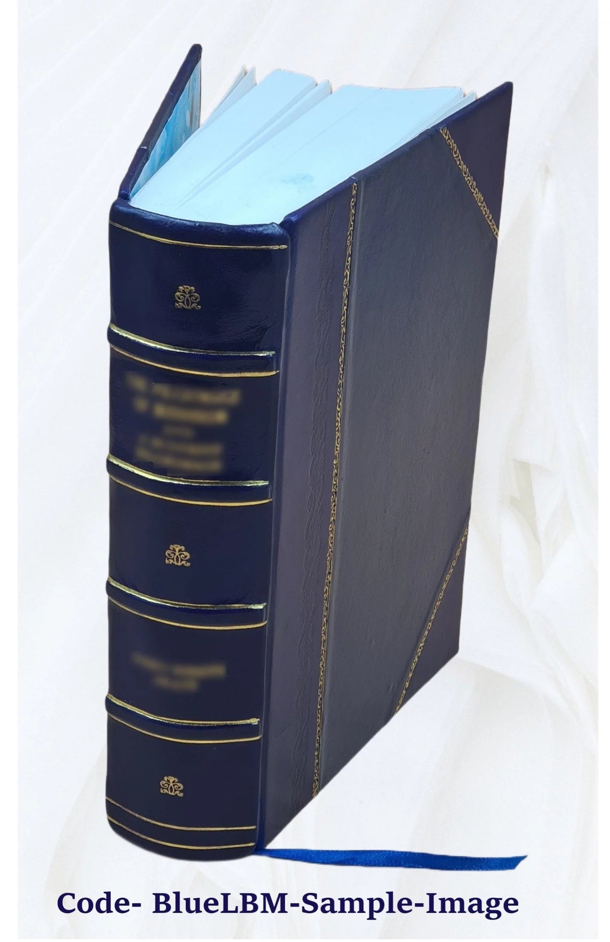 Biographical Dictionary of Contemporary Writers 1879 Leather Bound U672436