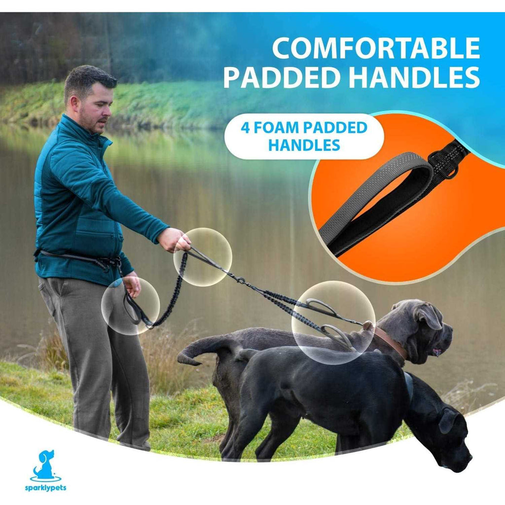Hands Free Double Dog Leash F587216