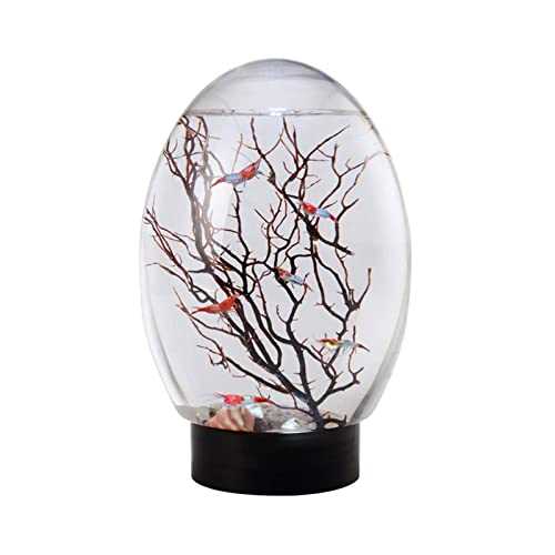 Mini Ecological Fish Tank with Led Base Y844