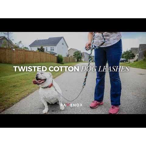 Dog Leash with Chain D74141