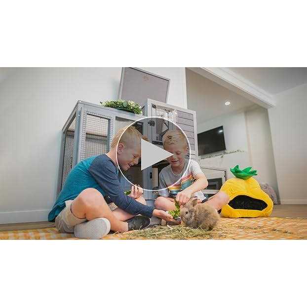 Indoor Outdoor Rabbit Animals Pet Supplies V514640