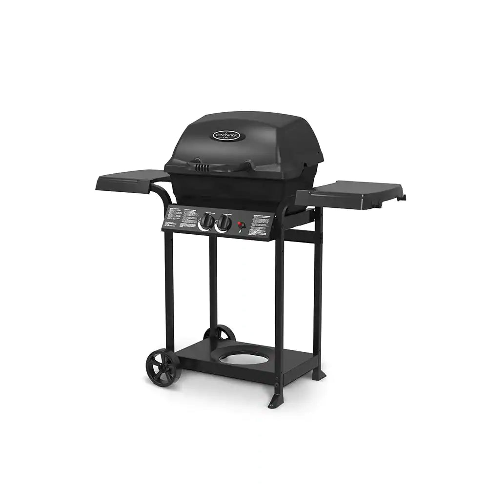 2-Burner Cast Aluminum Propane Gas Grill in Black I9956