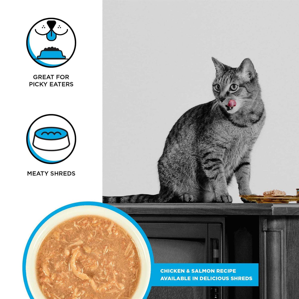 Chicken Recipe Shredded Canned Cat Food U5134