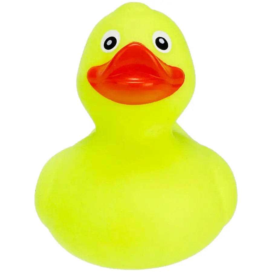 Rubber Duck Turtle Toy Medium L3591