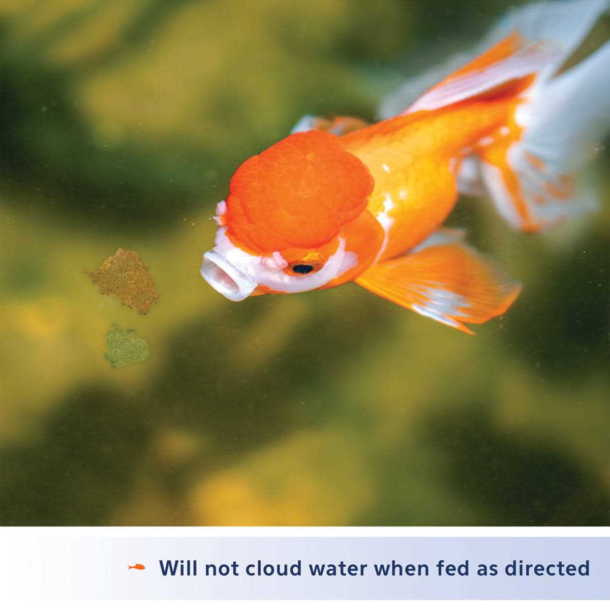 Goldfish Flakes G92892