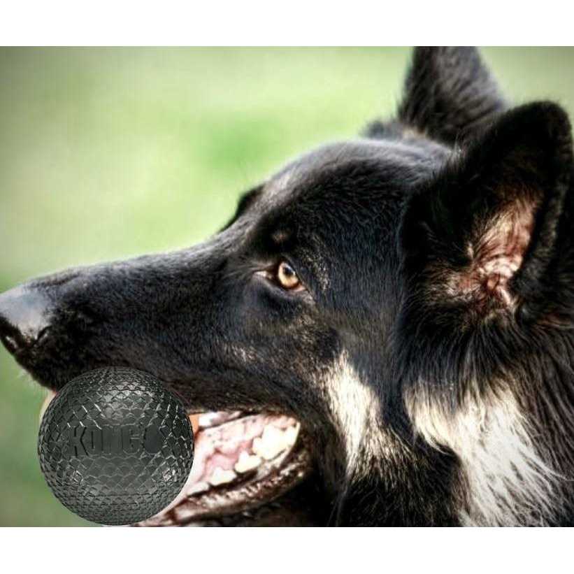 Duramax Ball Dog Toy L839717