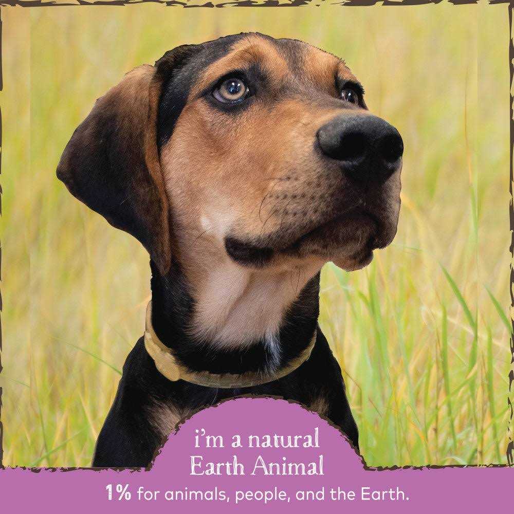 Flea & Tick Daily Herbal Internal Powder Q9725