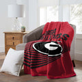 Raschel Throw Blanket 60" x 80" Z30127