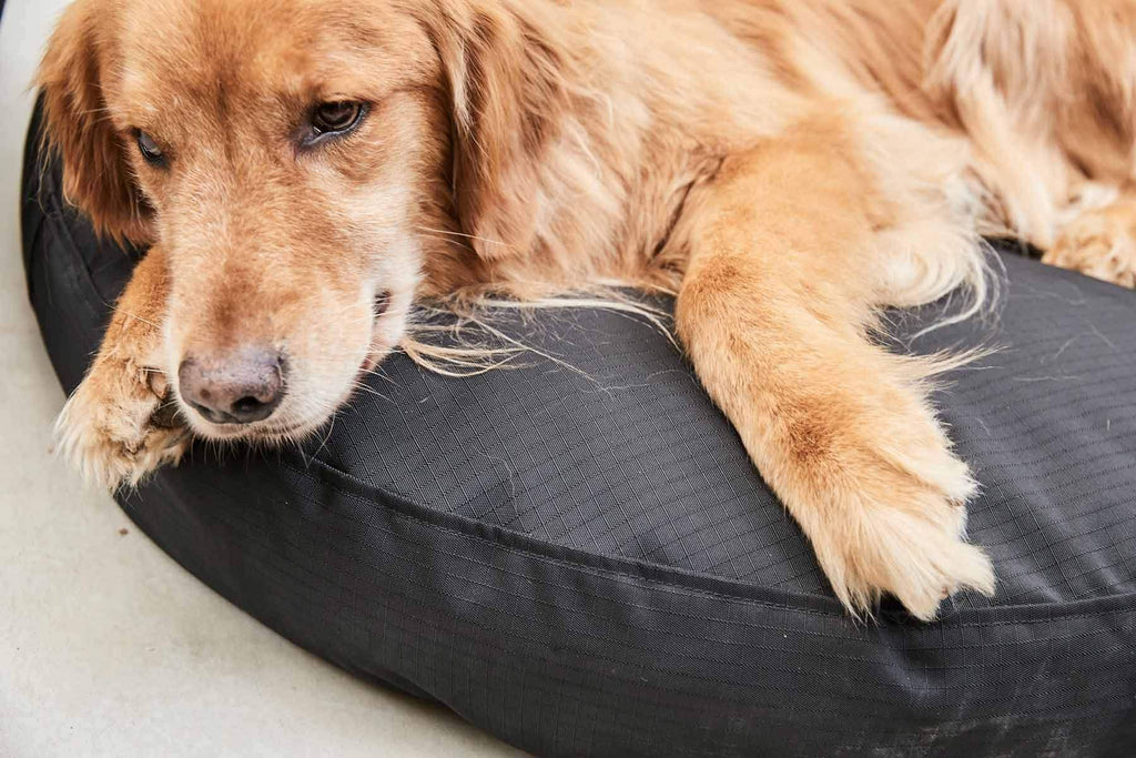 Black X-Large Round Nesting Dog Bed T20340