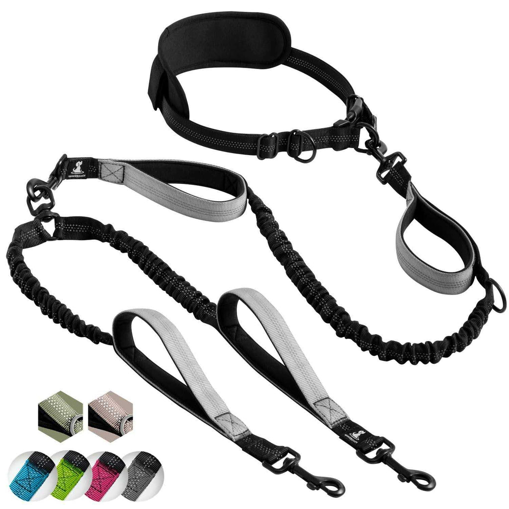 Hands Free Double Dog Leash F587216
