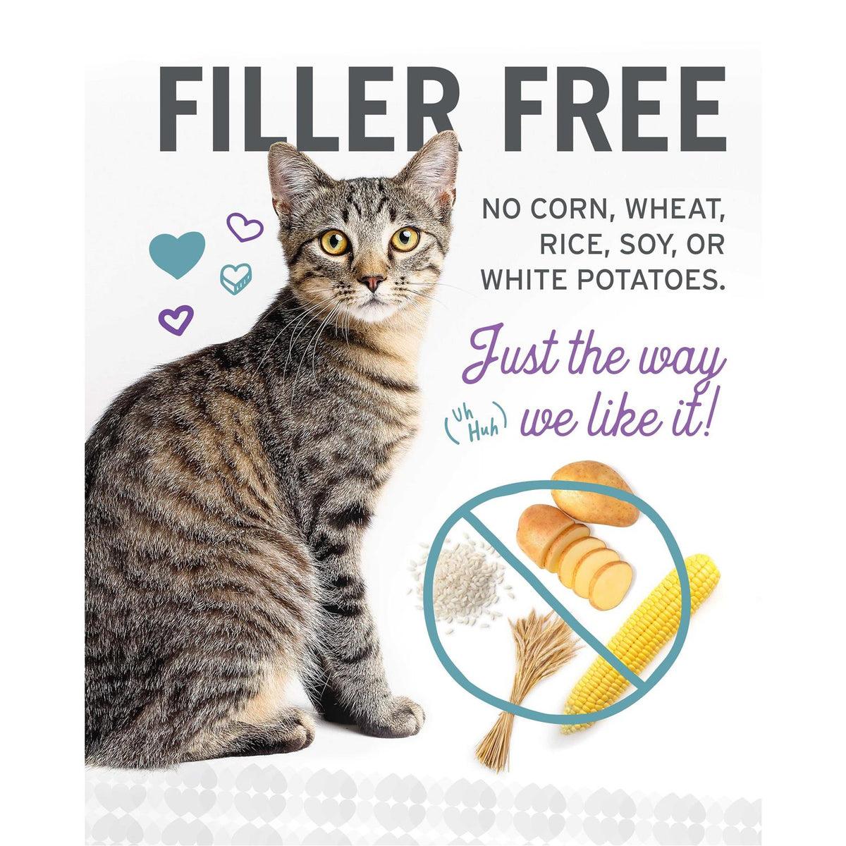Grain Free Canned Cat Food S98132