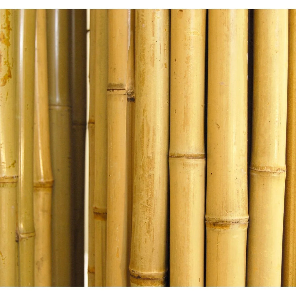 Natural Bamboo Fencing Garden Screen Rolled Fence Panel 3/4 D x 4' H x 8' L I6589