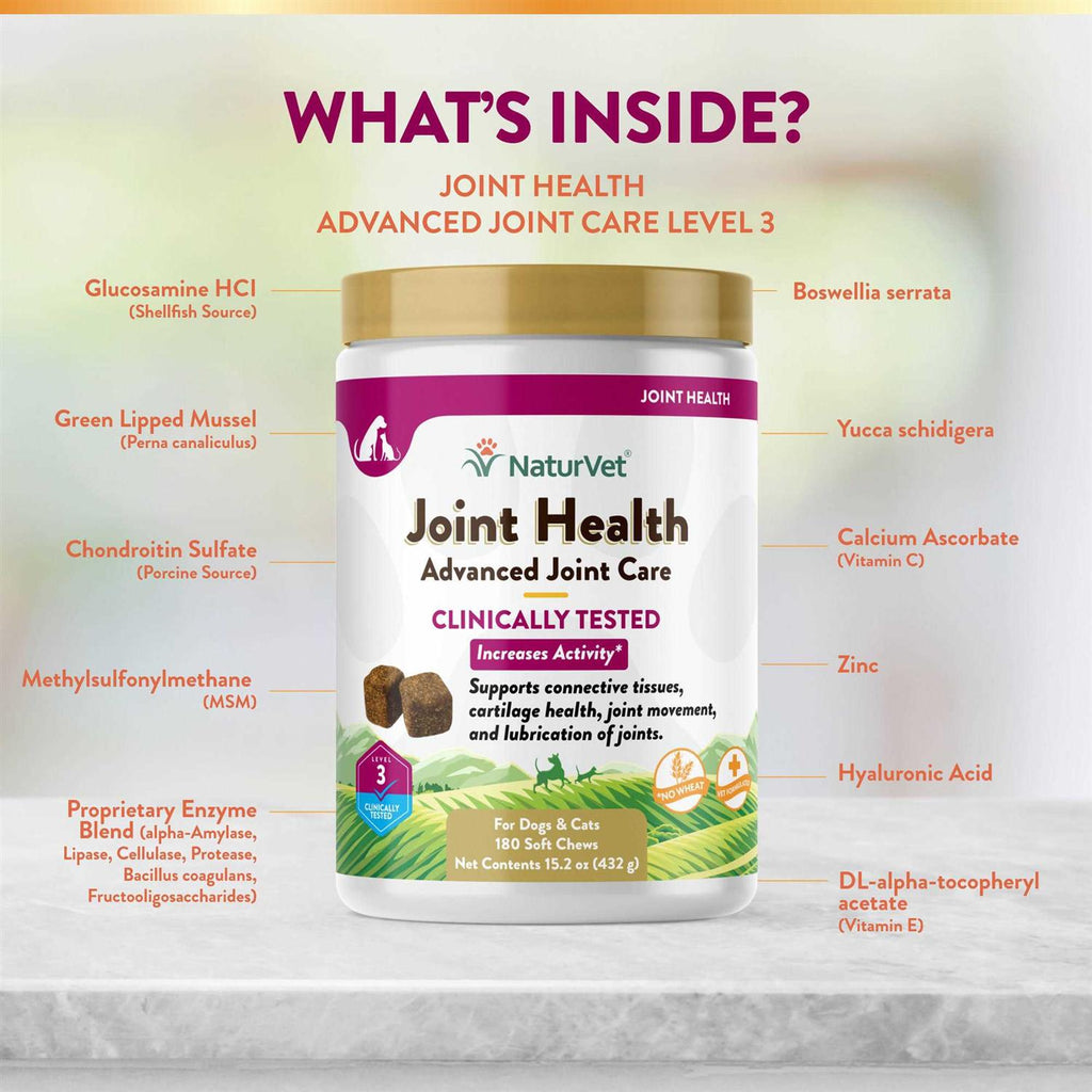 Joint Health Soft Chews for Dogs Y81591