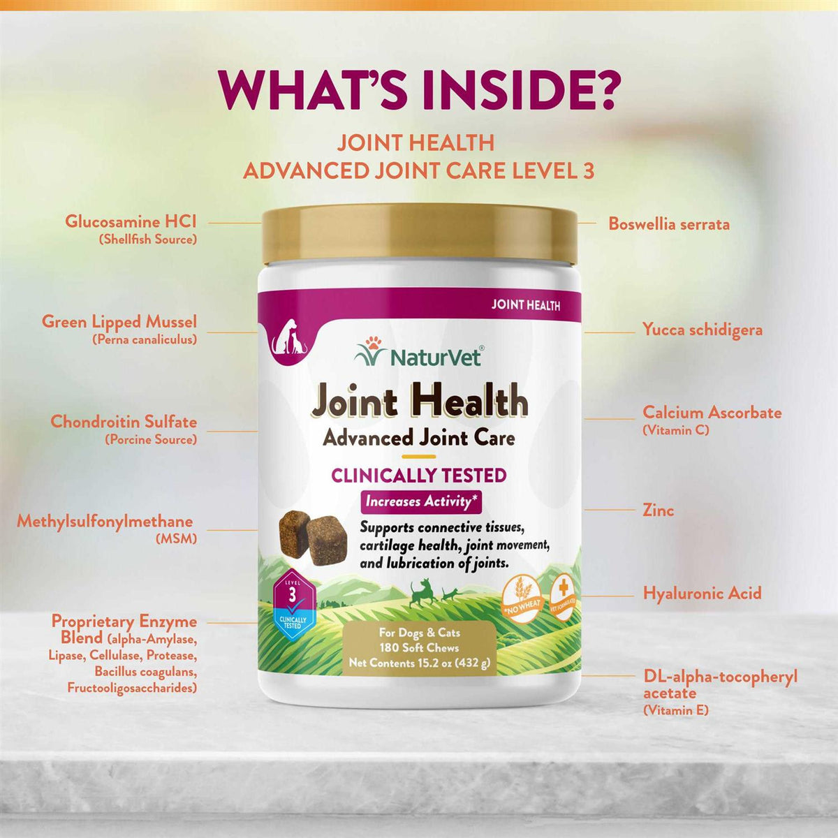 Joint Health Soft Chews for Dogs Y81591