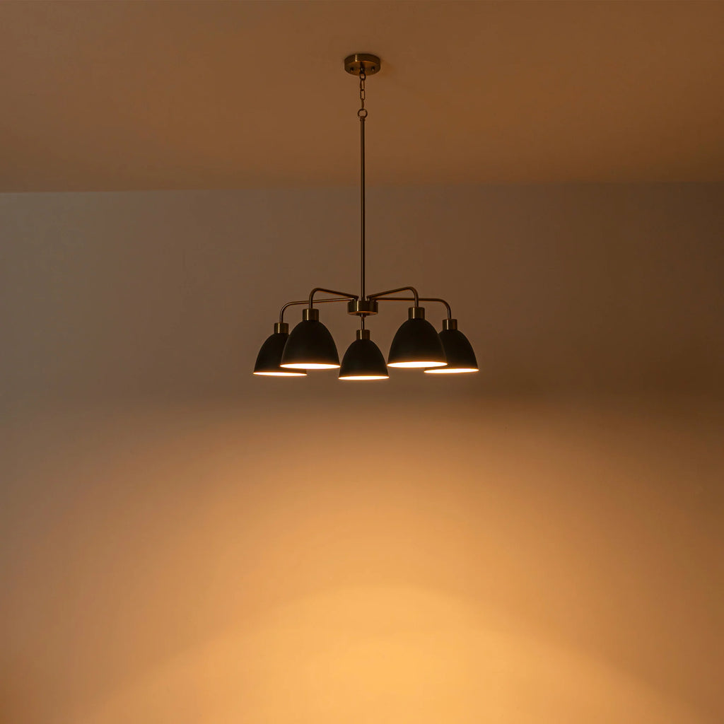 5-Light Dimmable Industrial Shaded Chandelier J296