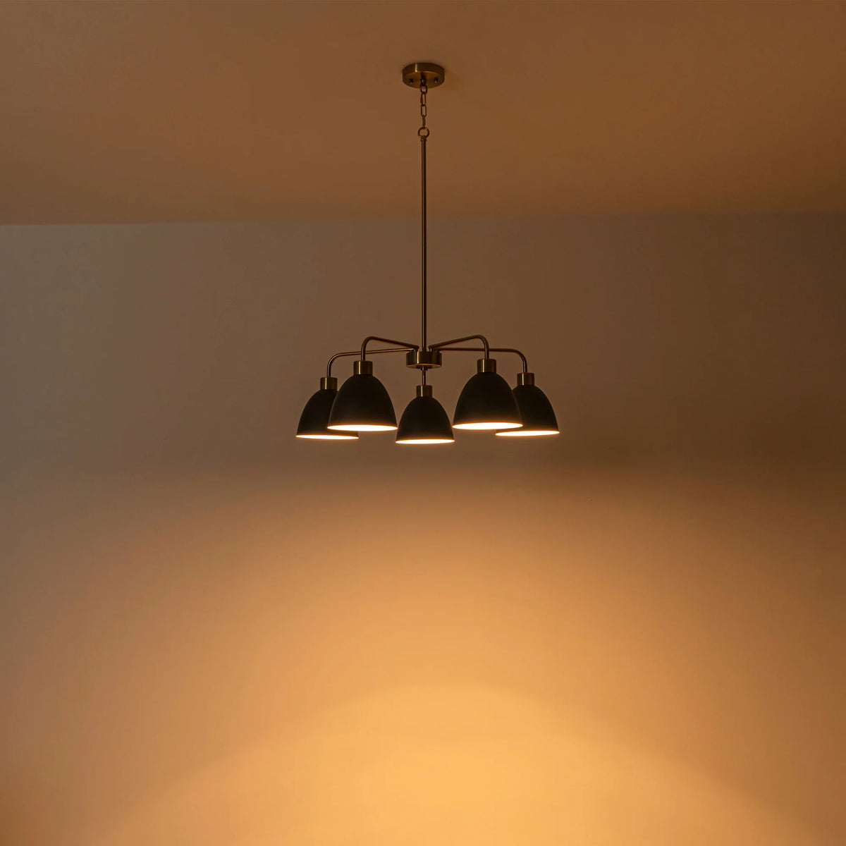 5-Light Dimmable Industrial Shaded Chandelier J296