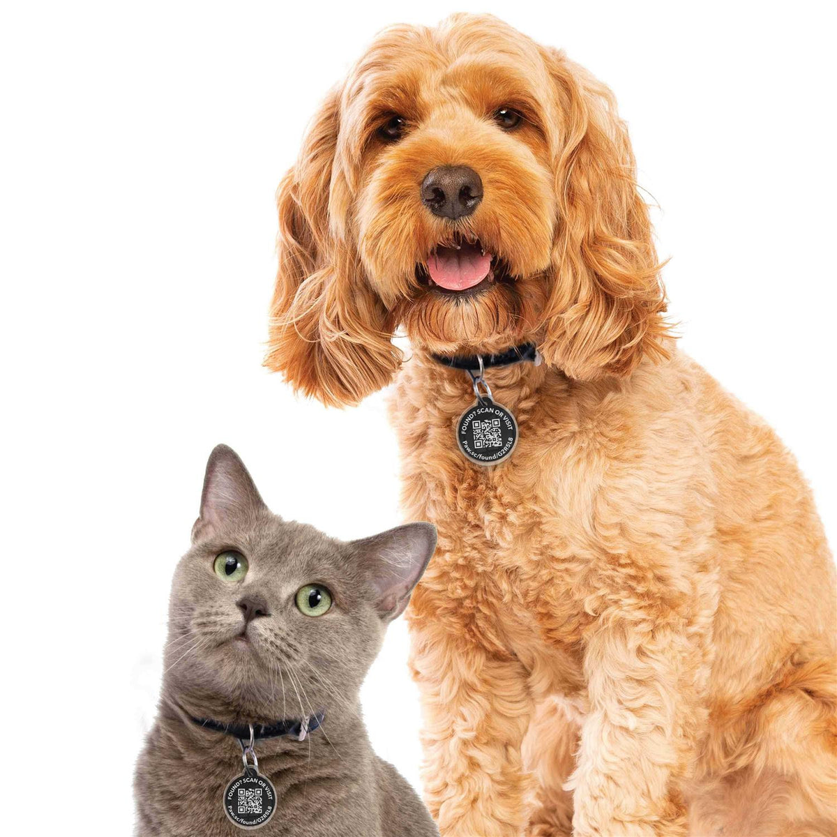 Smart Pet Tag W103420