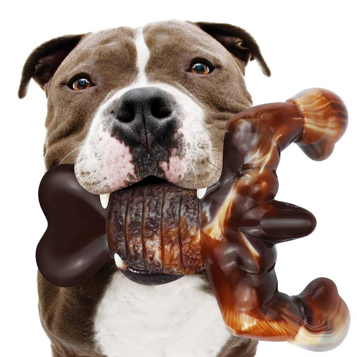 Real Bacon Flavored Tough Dog Bone Chew Toy L768440