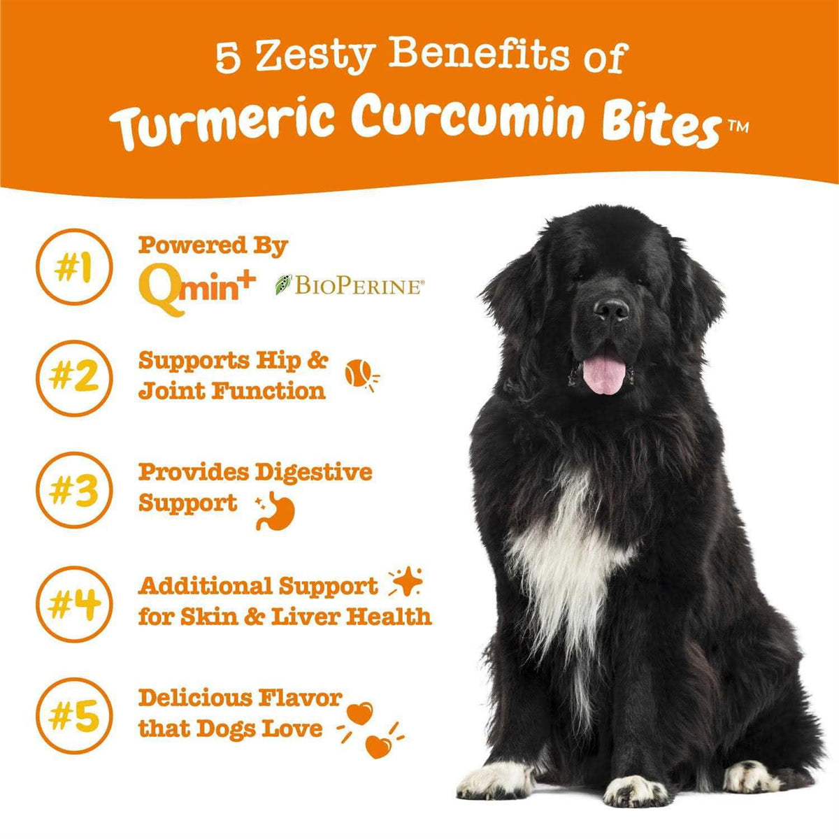 Turmeric Curcumin Bites for Dogs C90827