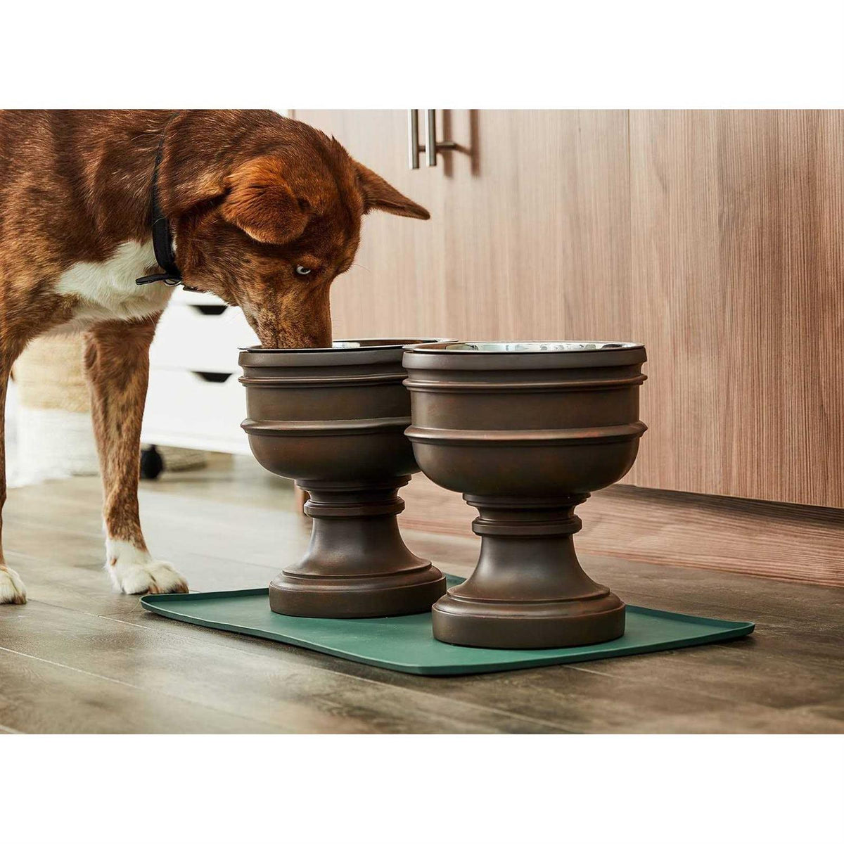 Elevated Dog Bowl G343849