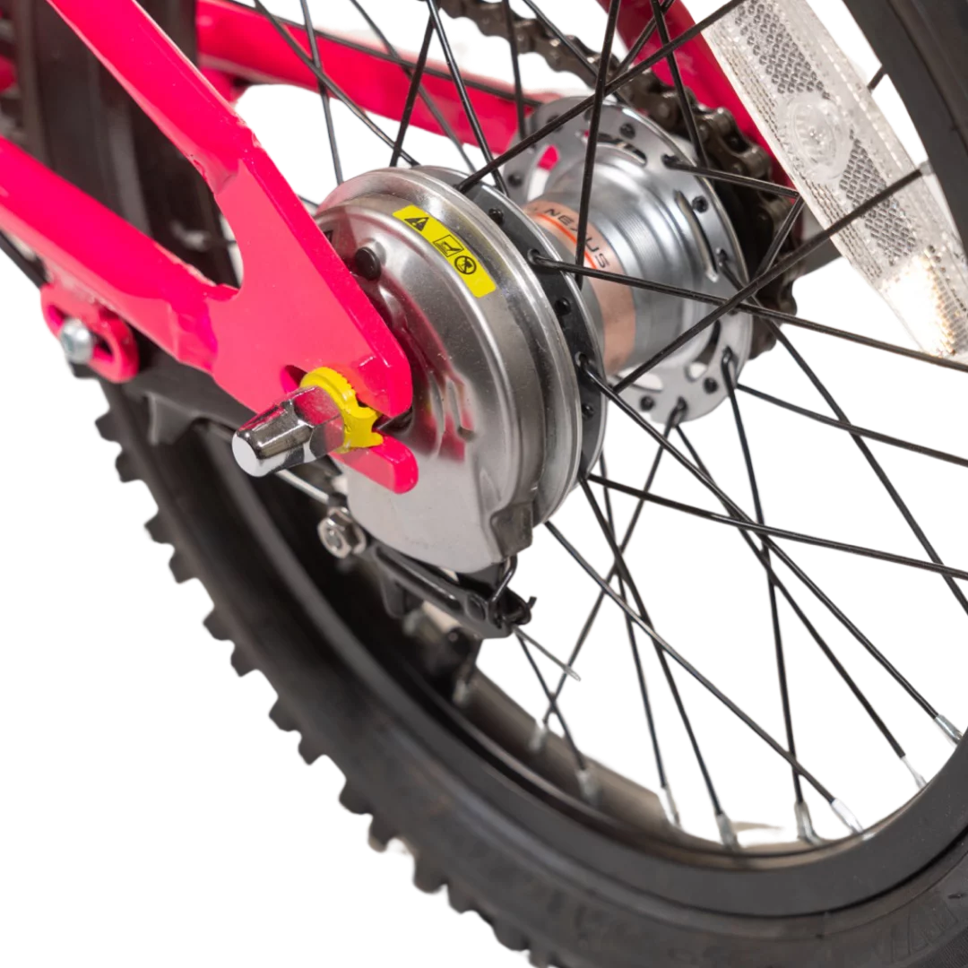 16 Inch 3 Speed Kids Bike with Internal Gears X25161