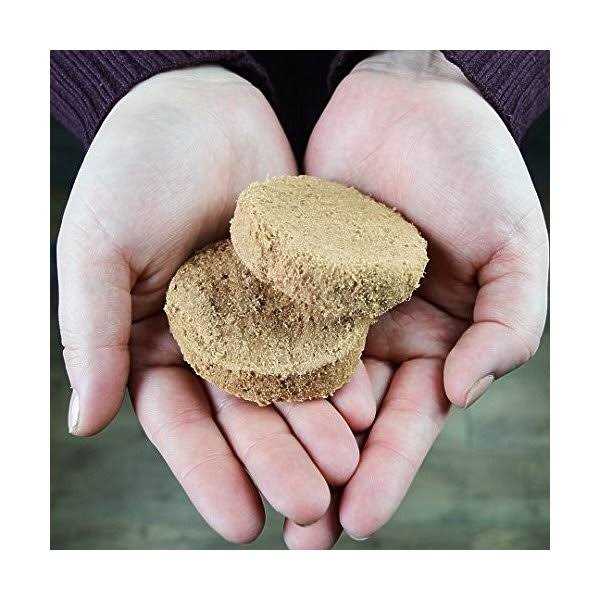 Freeze Dried Dog Food Patties V32639
