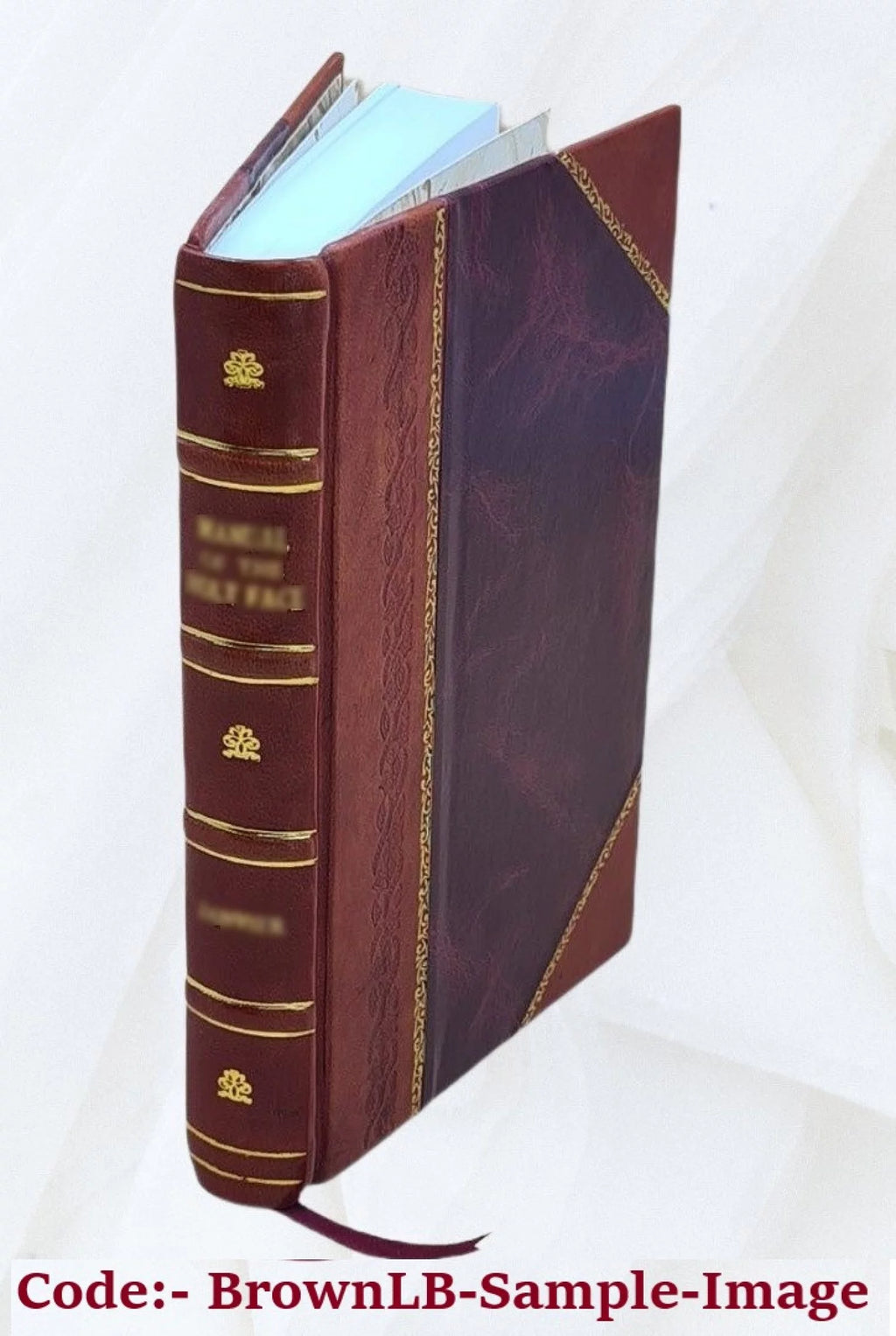 Science revived; or, The vision of Alfred. A poem in eight books J147259