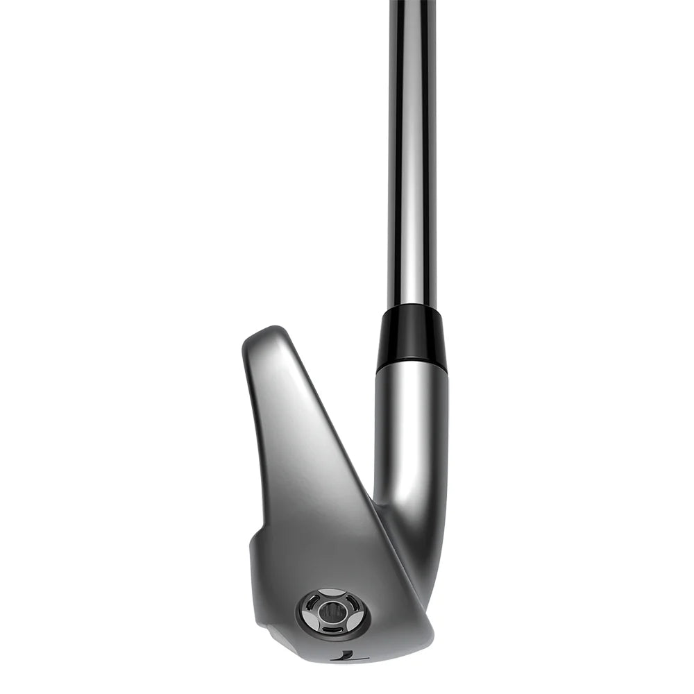 5-PW+GW Irons Graphite Stiff R8622