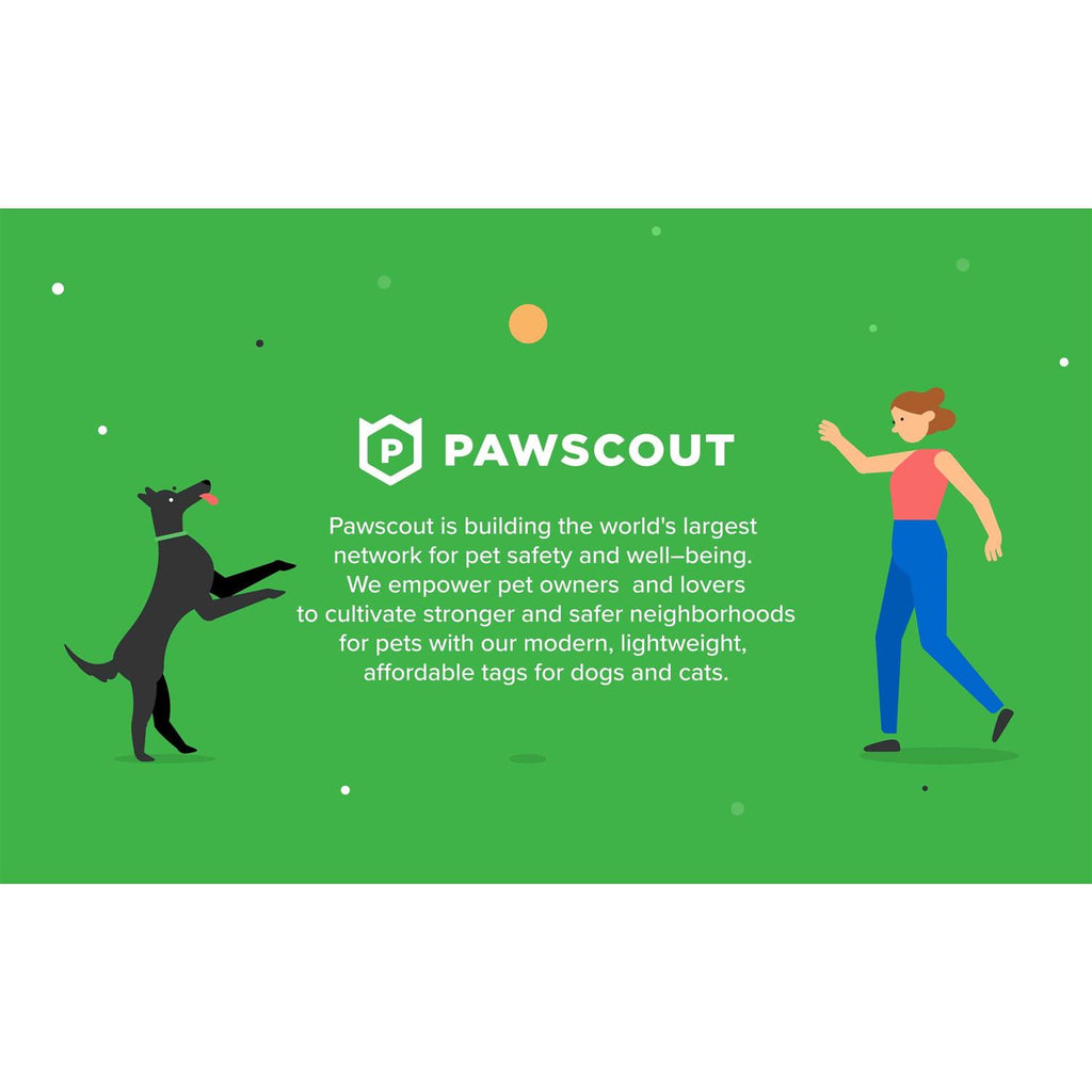 Smart Pet Tag W103420