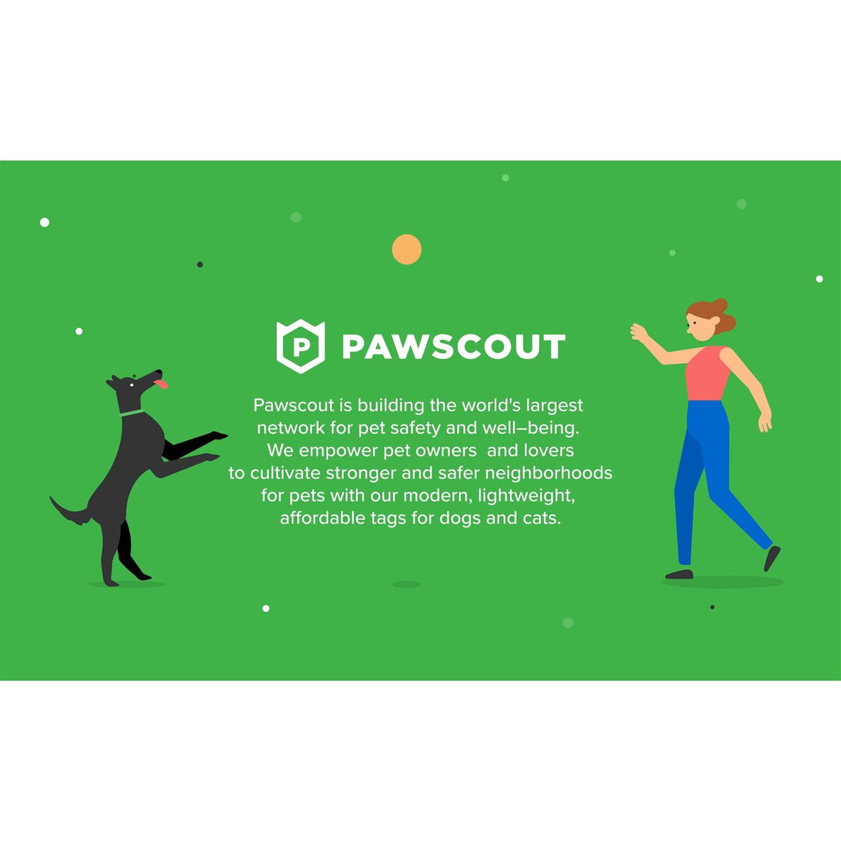 Smart Pet Tag W103420