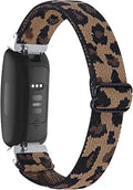 Nylon Elastic Watch Band F734742