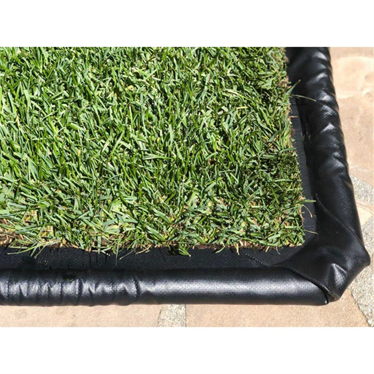 Dog Potty Real Grass T97122